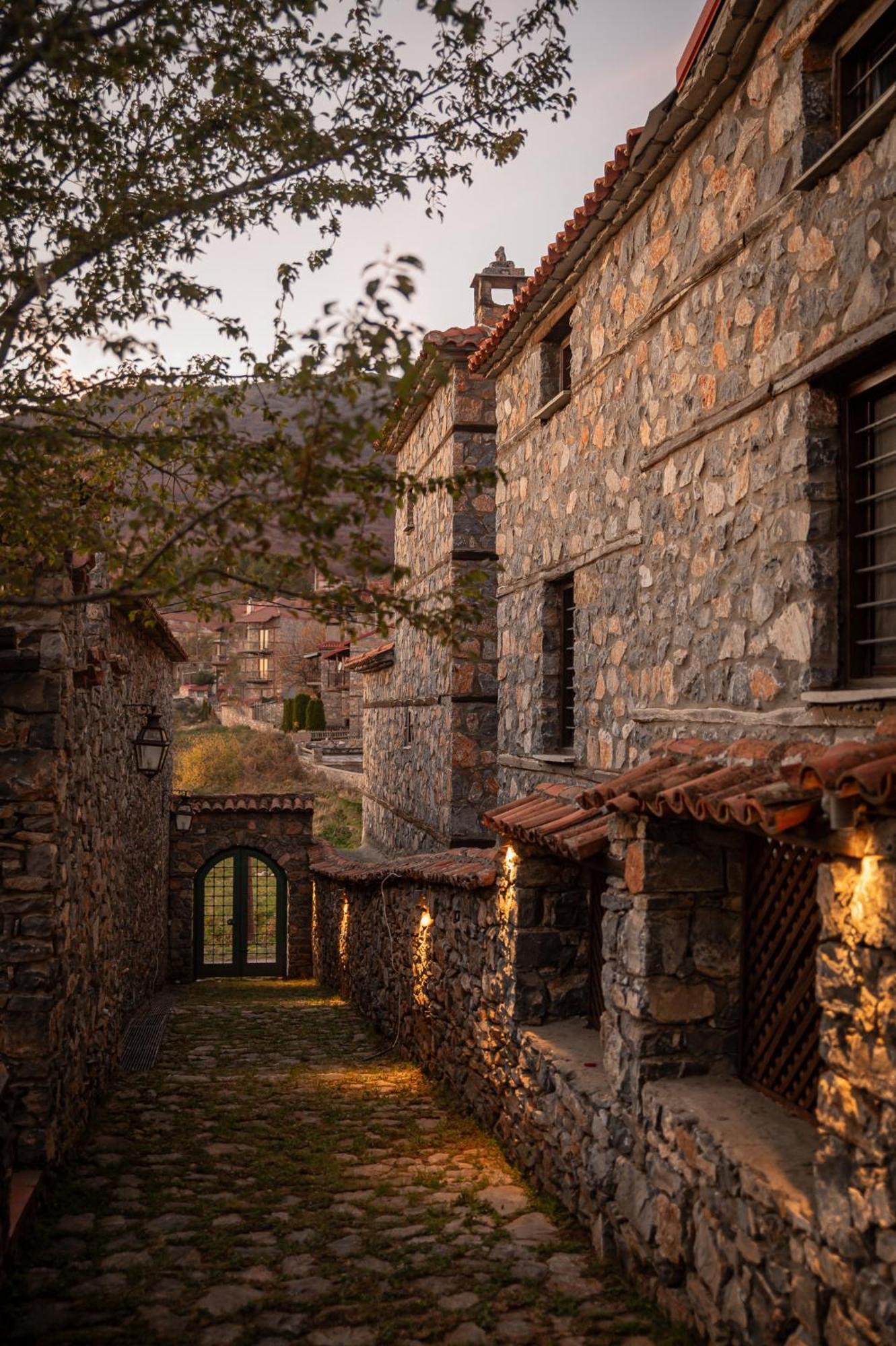 4 Seasons Premium Chalet Agios Athanasios  Extérieur photo